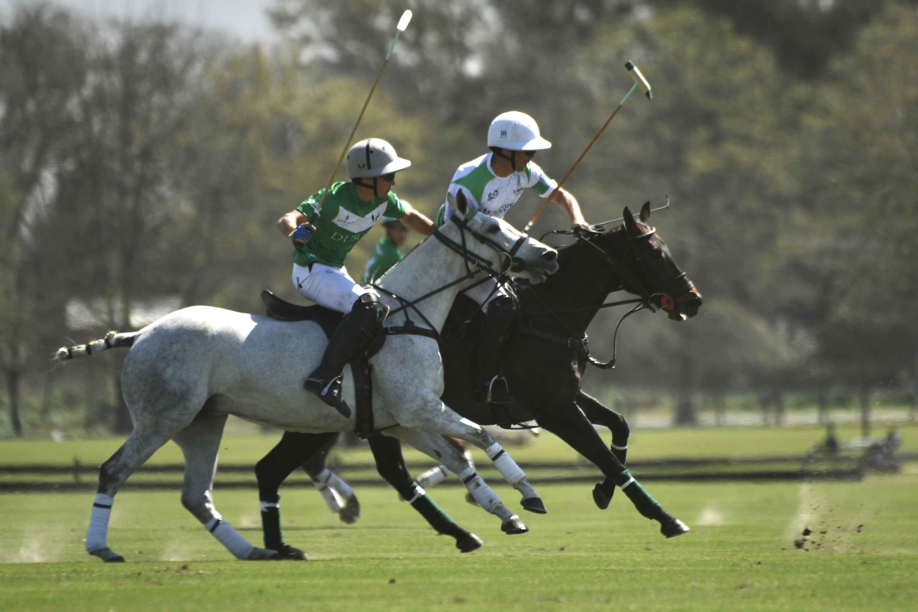 Tortuguitas, Buenos Aires, Argentina - 24 September 2024: This tournament marks the start of the ...