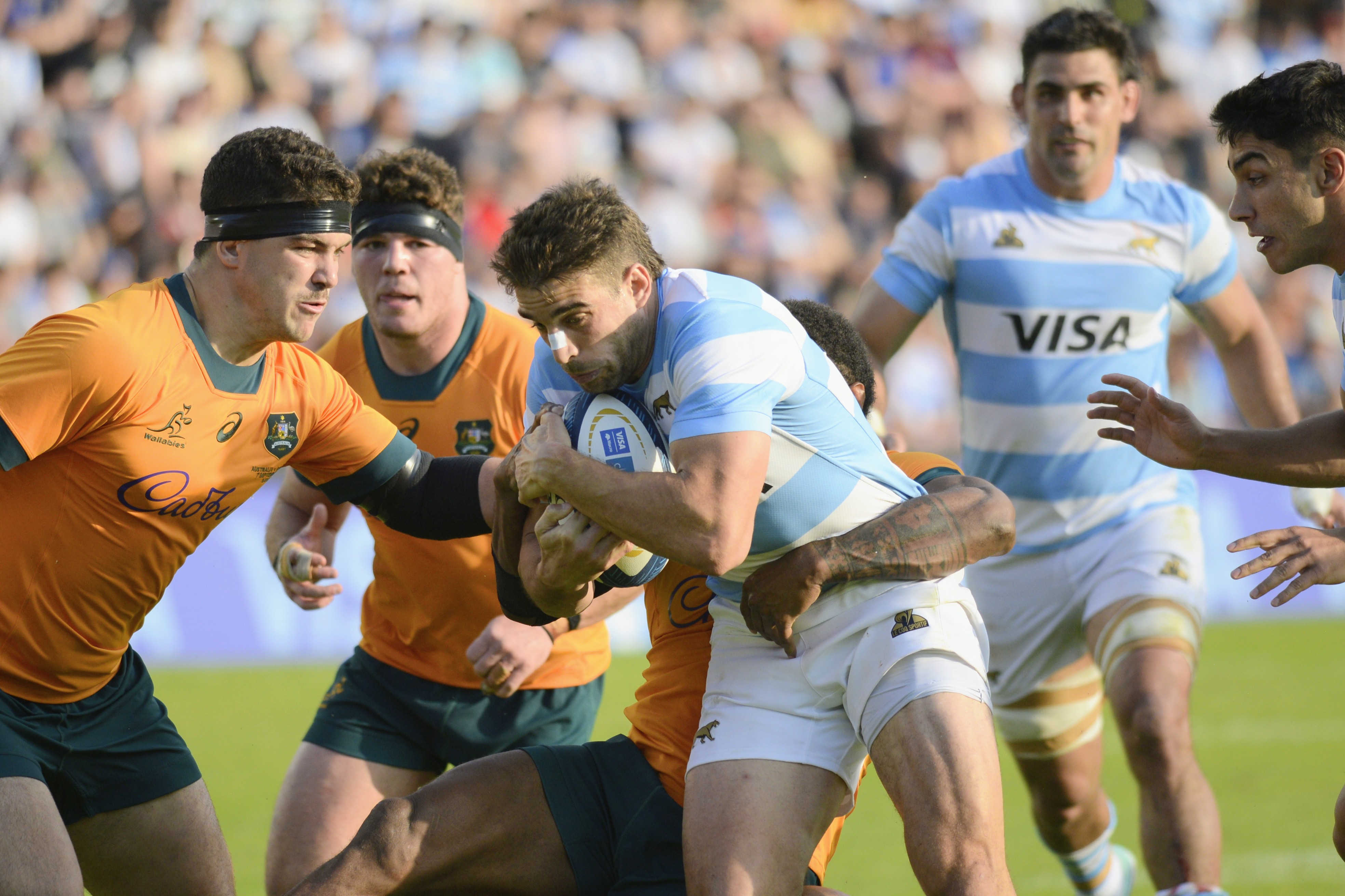 Argentina Vs Australia Rugby Buenos Aires, Argentina – September 7, 2034: The Pumas play a new Rugby Championship match for ...
