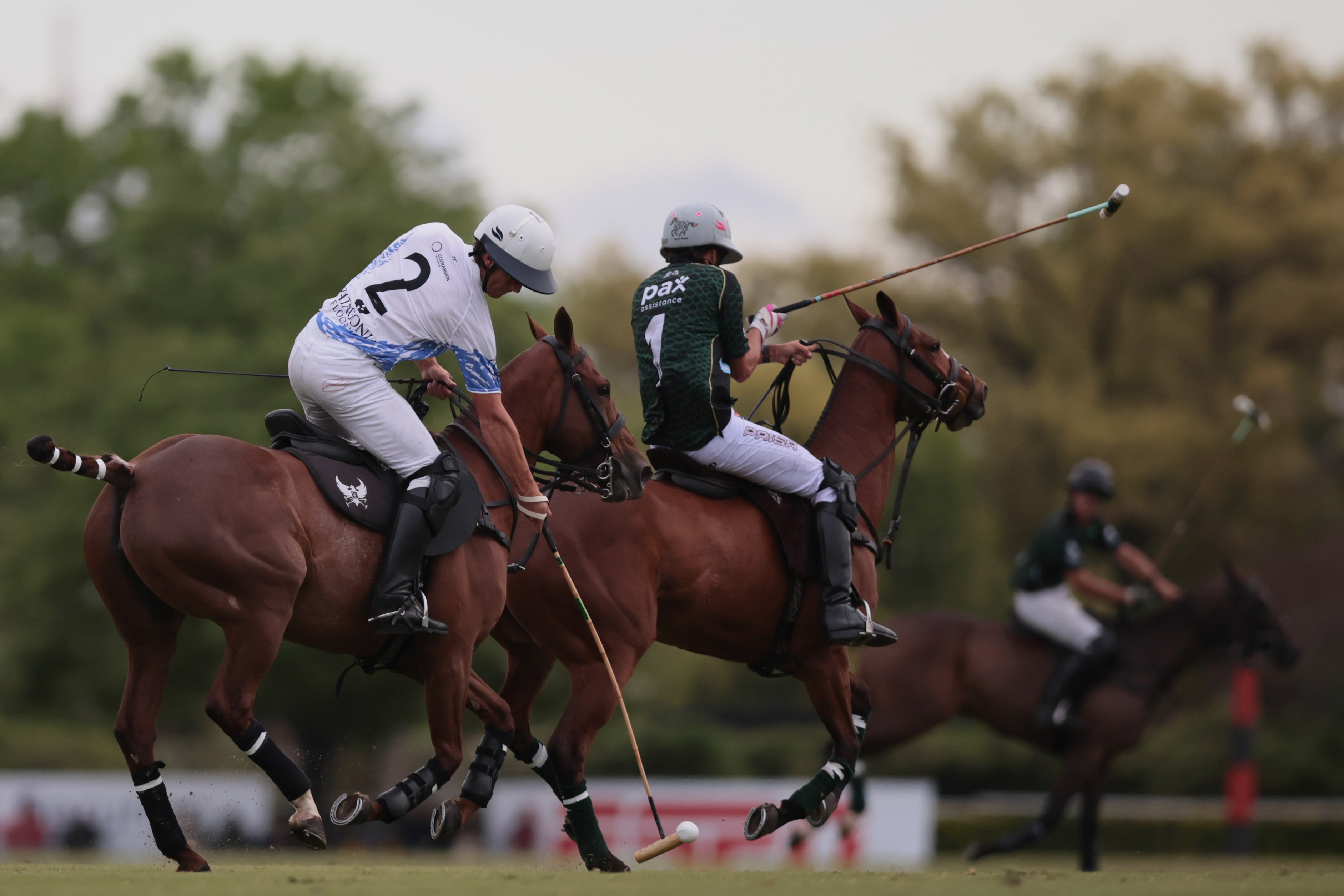 Tortuguitas polo Cup Tortuguitas, Buenos Aires - October 13, 2024: In the continuation of the second round (first in Z...