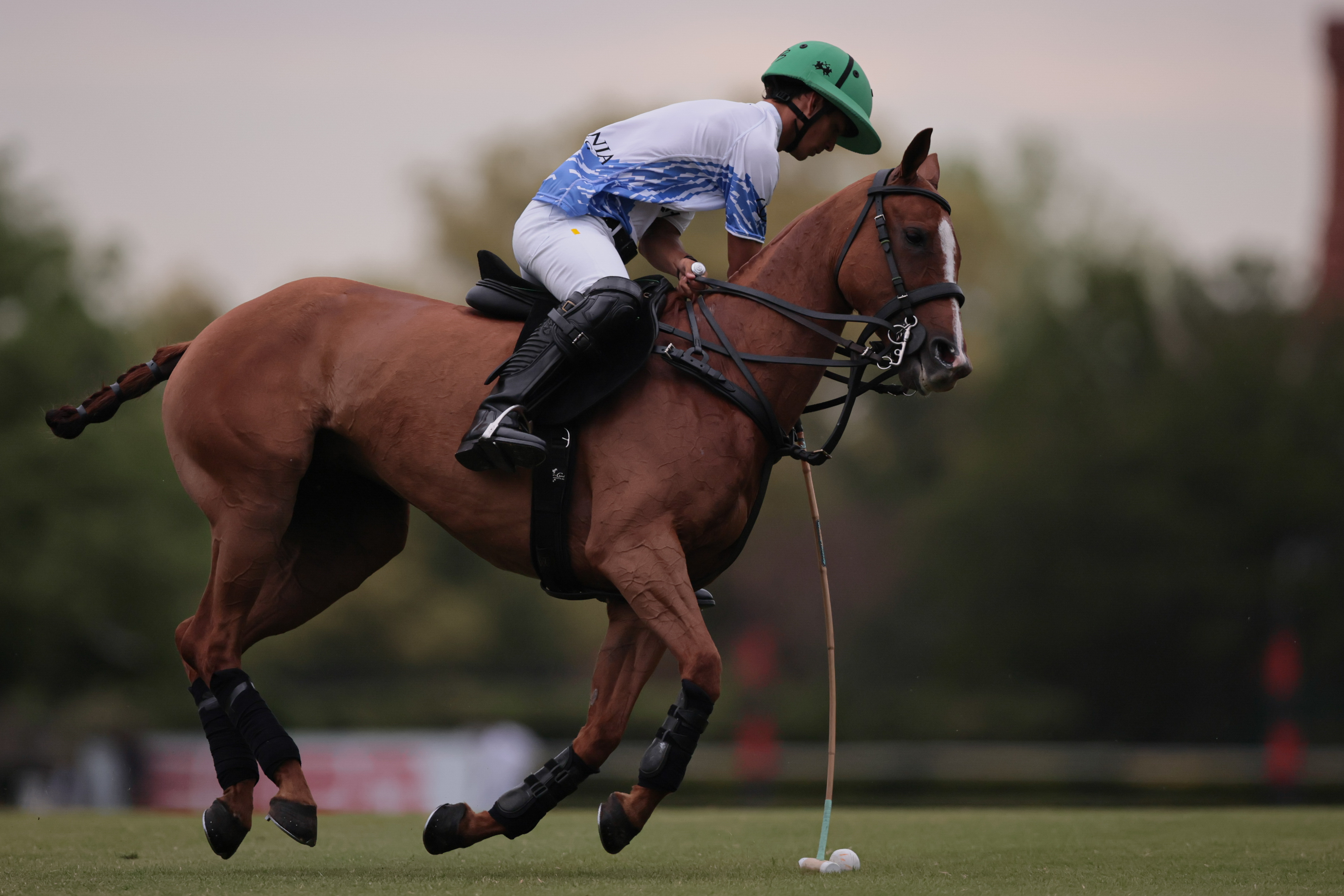 Tortuguitas polo Cup Tortuguitas, Buenos Aires - October 13, 2024: In the continuation of the second round (first in Z...