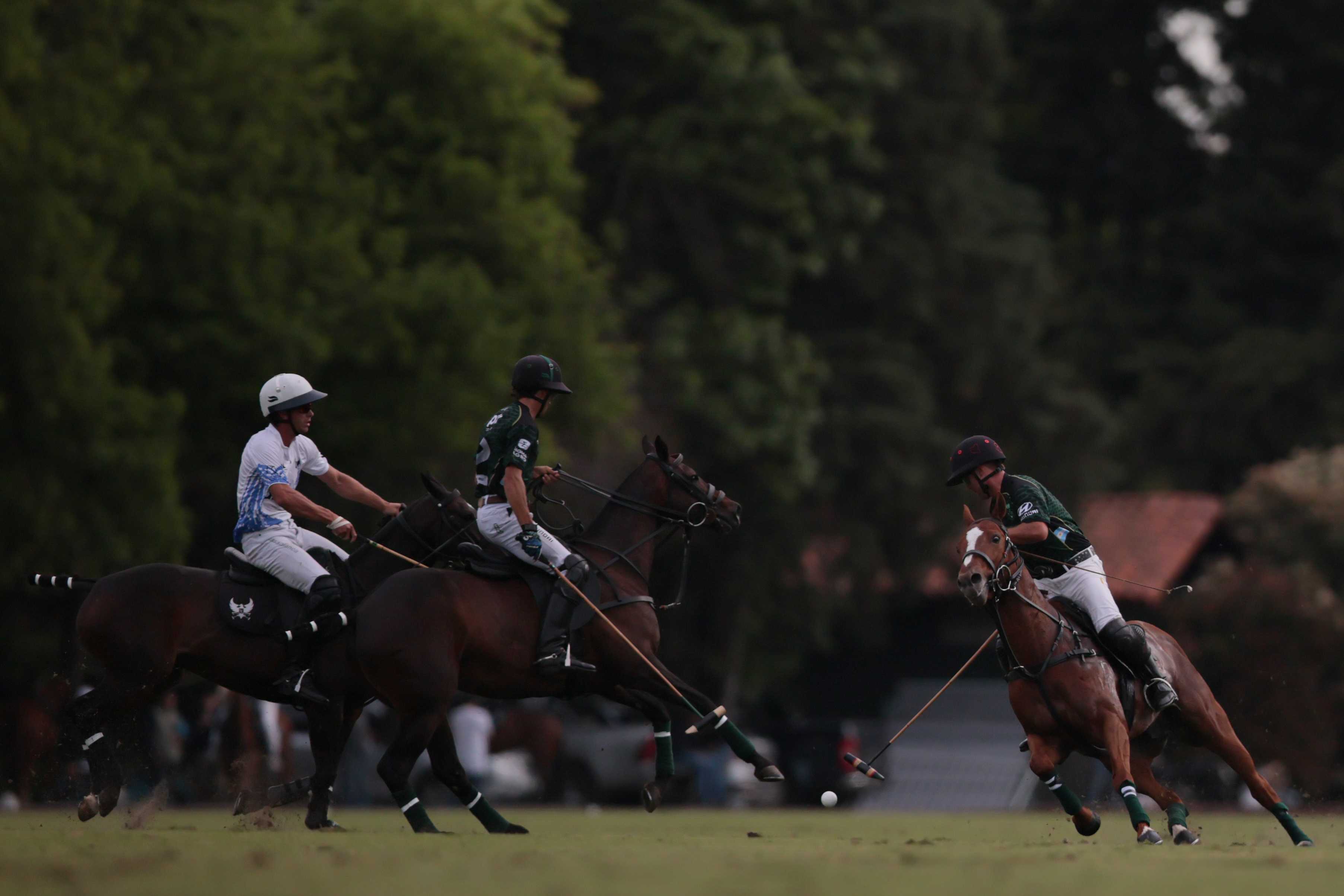 Tortuguitas polo Cup Tortuguitas, Buenos Aires - October 13, 2024: In the continuation of the second round (first in Z...