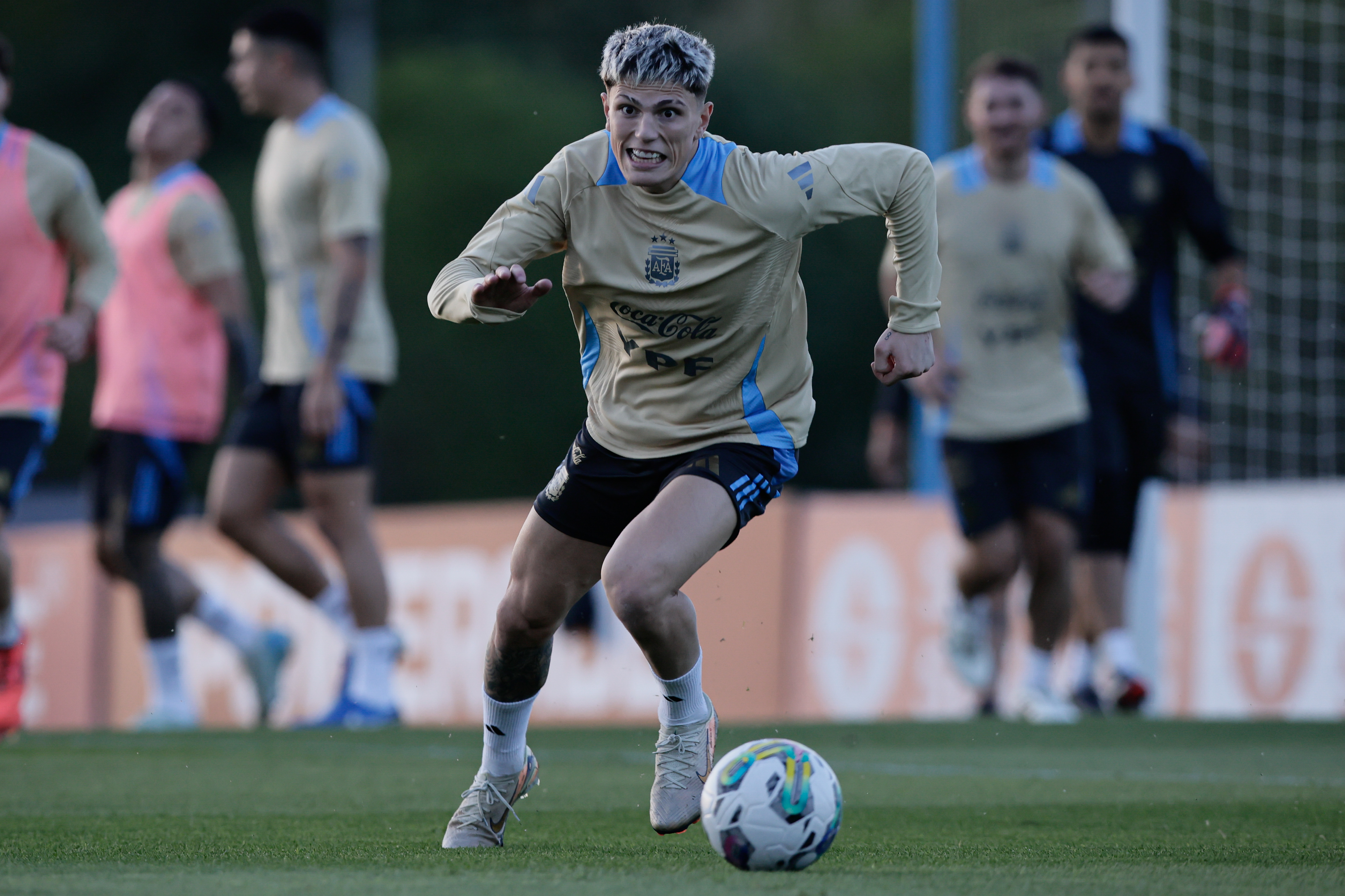 G8371 Ezeiza, Argentina - November 12, 2024: The Argentine national football team held a training sessi...