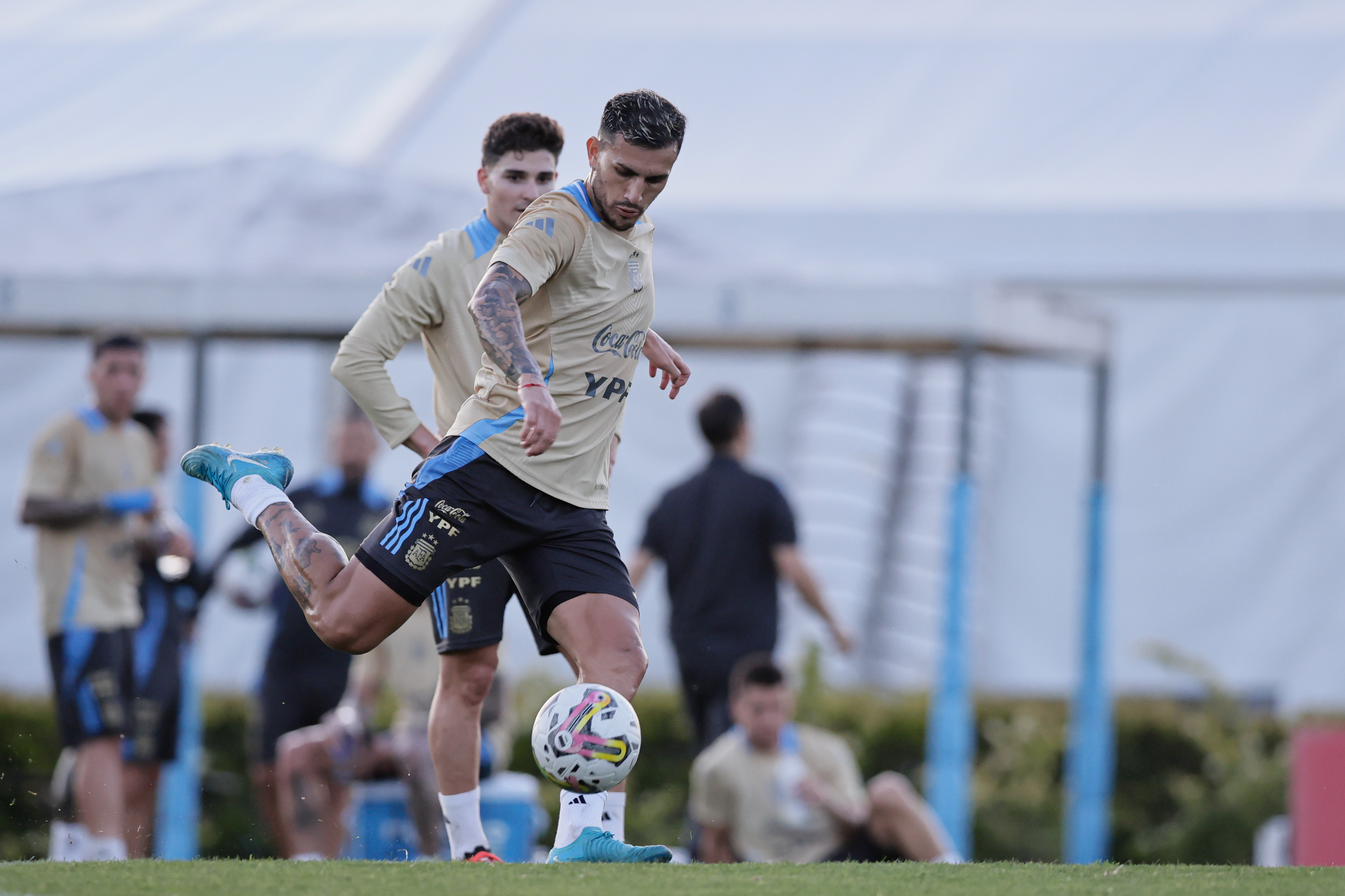 G0210 Ezeiza, Argentina - November 12, 2024: The Argentine national football team held a training sessi...