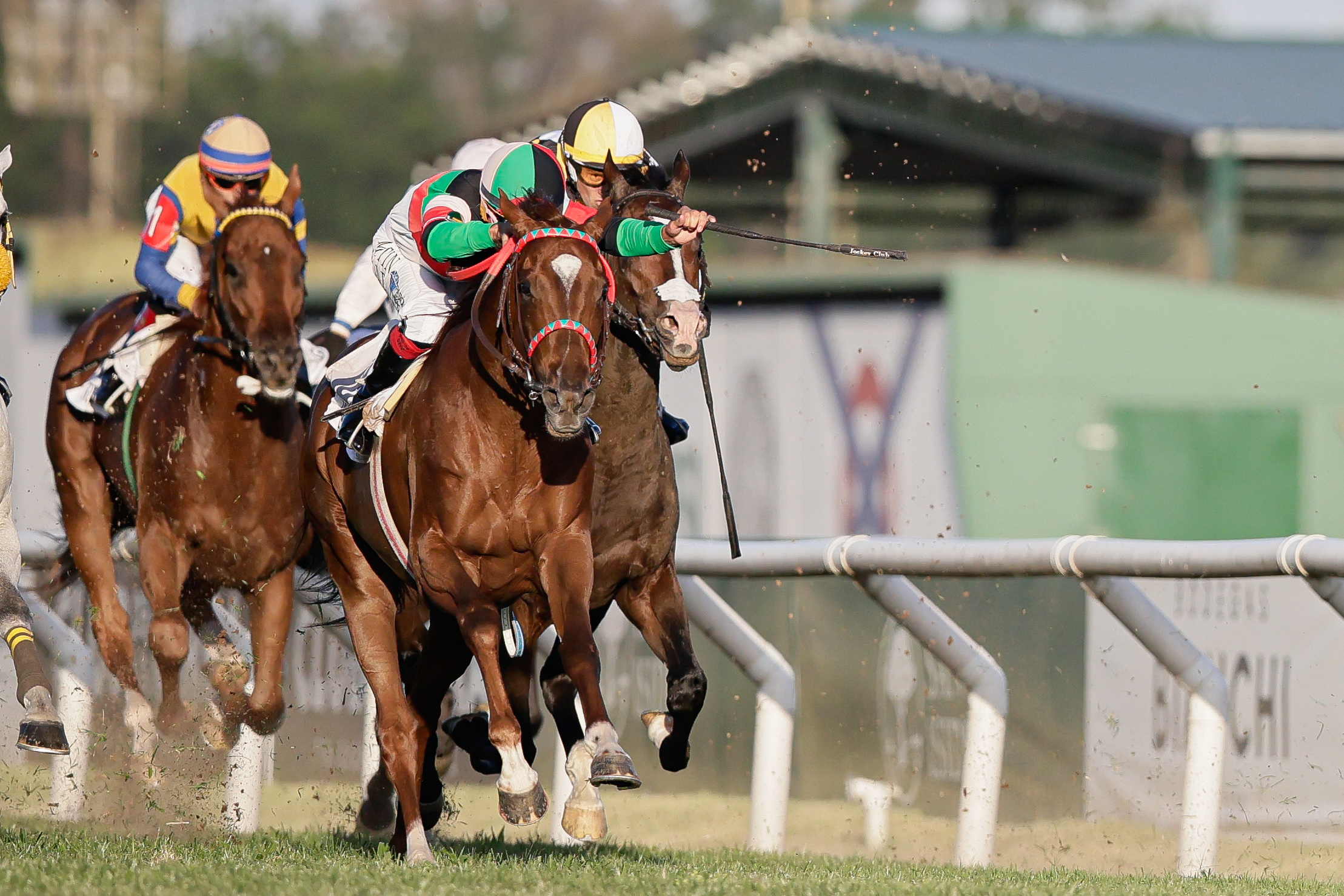 Thrilling Victory Marks the 2024 Carlos Pellegrini Grand Prize San Isidro, Argentina - December 14, 2024: The prestigious Carlos Pellegrini Grand Prize, Argenti...