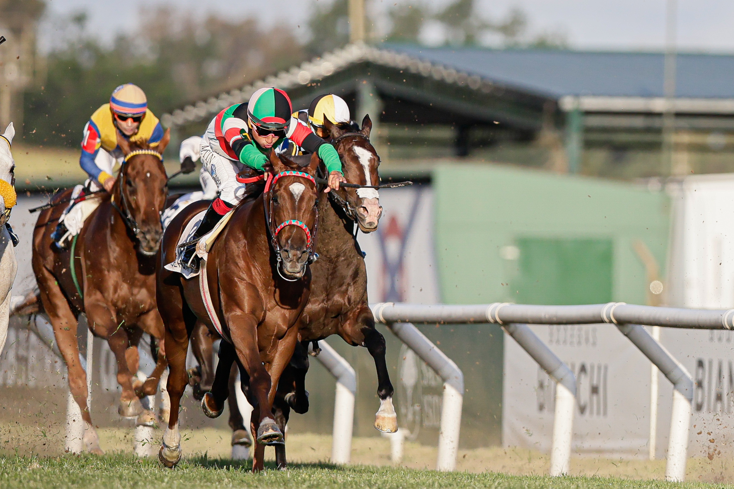 San Isidro, Argentina - December 14, 2024: The prestigious Carlos Pellegrini Grand Prize, Argenti...