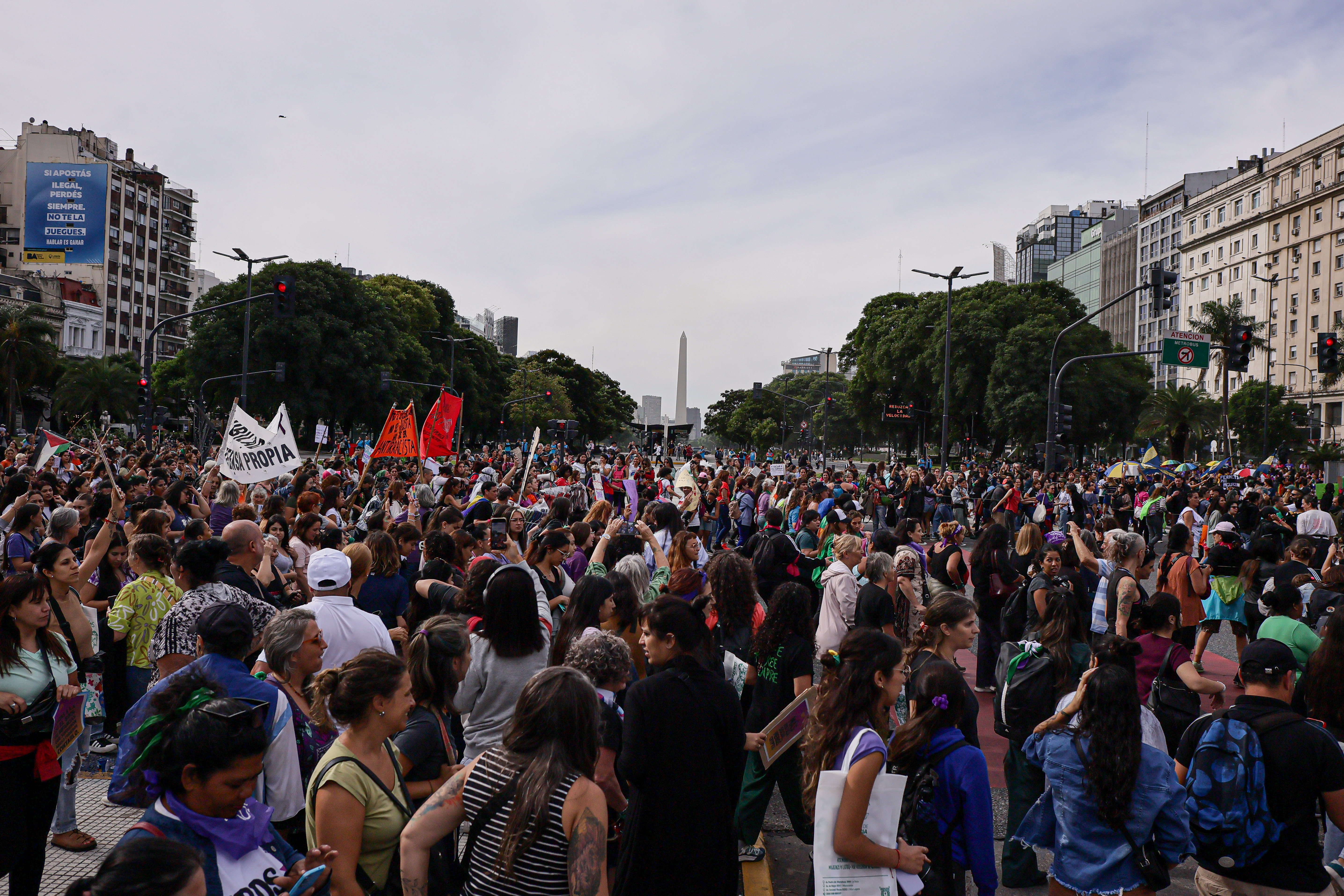 IM_86677 Buenos Aires, Argentina - March 8, 2025: Artistic expressions in the 8-M march. Thousands of peop...