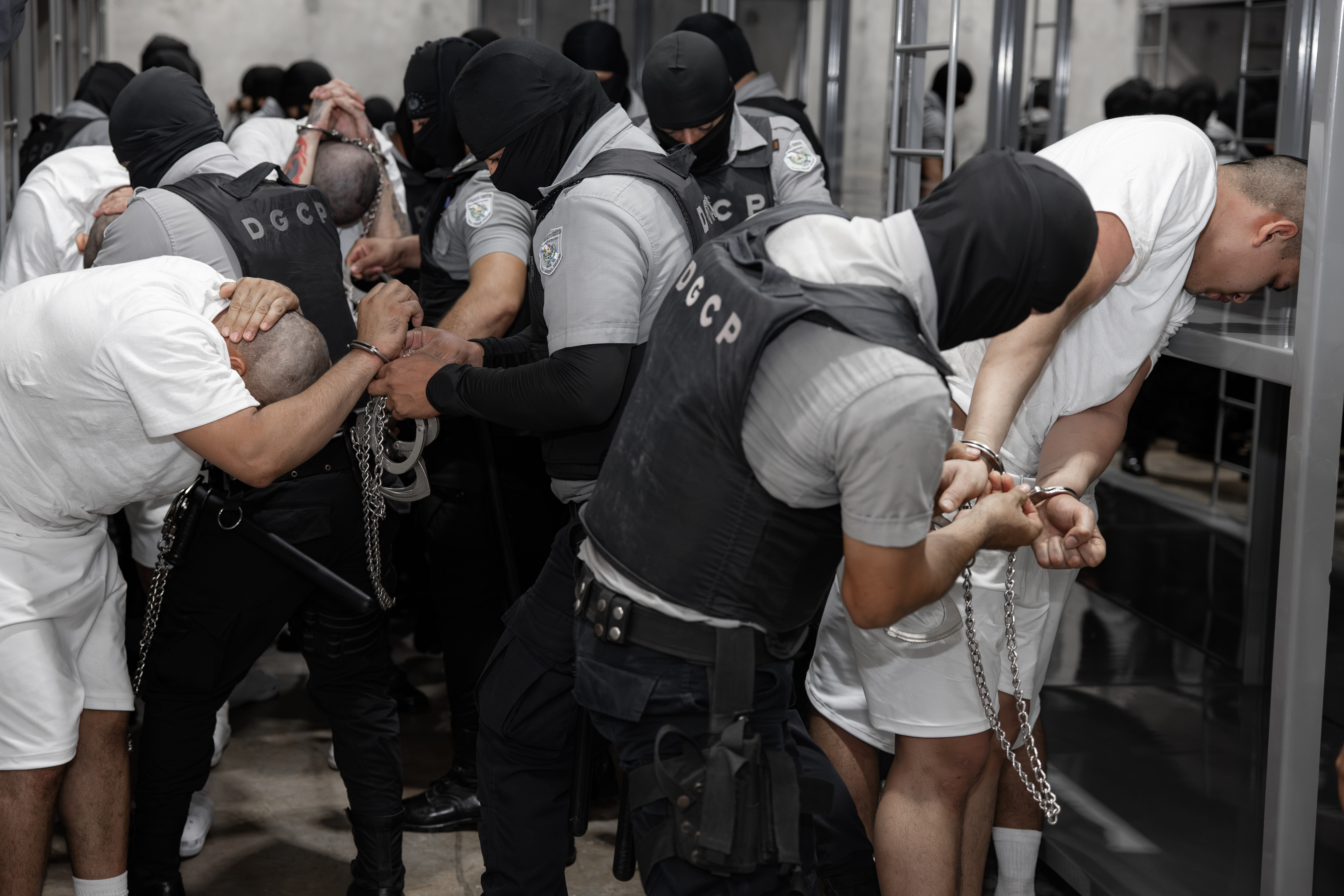 261 Gang Members Expelled Under 1798 Law Arrive in El Salvador San Salvador, El Salvador – March 17, 2025: A group of 238 suspected members of the Tren de Ara...