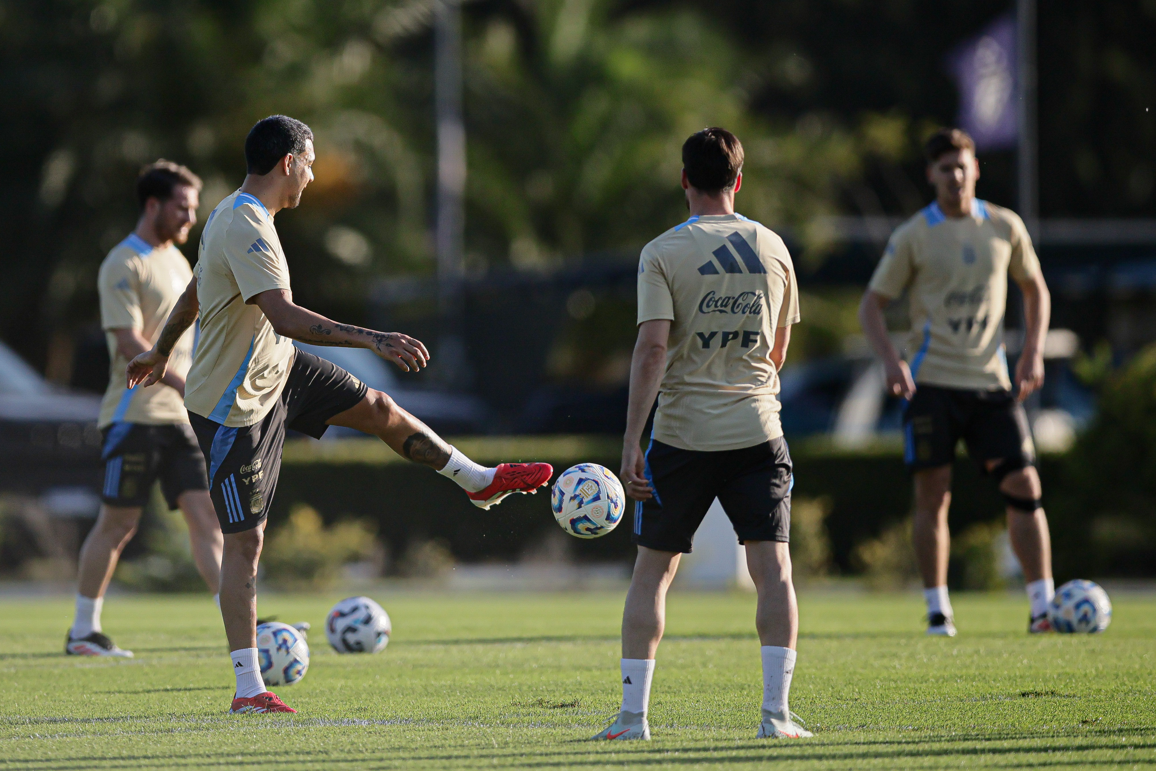 Argentine Squad Prepares for Upcoming Matches at AFA Training Facility Buenos Aires, Argentina – March 18, 2025: The Argentina national football team trains at the Li...