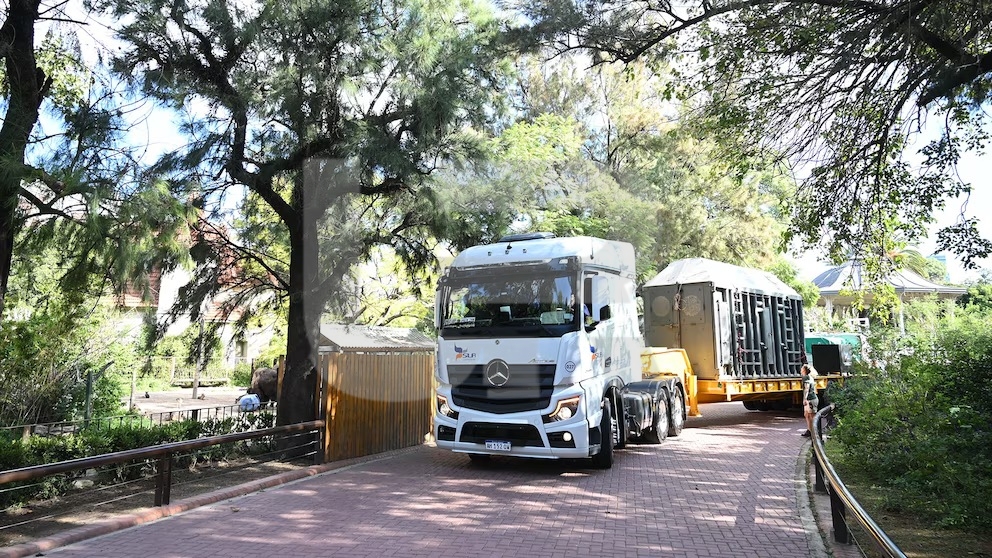 BUENOS AIRES, ARGENTINA – 15 DE ABRIL DE 2025: Pupy, una elefanta africana que vivió en cautiv...