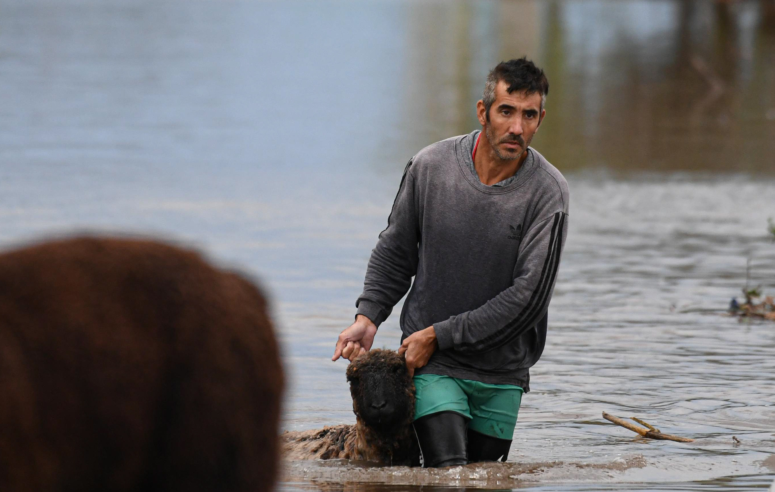 Calles anegadas y vehículos varados tras intensas lluvias en Campana ARGENTINA-Calles anegadas y vehículos varados tras intensas lluvias en Campana Calles anegadas y vehículos varados tras intensas lluvias en Campana Campana, Argentina – 17 mayo, 2025: Vehículos atrapados en medio de la vía tras una inundación que afectó al barrio La Bota en Ingeniero Maschwitz, provincia de Buenos Aires. Las intensas lluvias registradas durante la jornada provocaron anegamientos y serias complicaciones para los vecinos, con calles completamente cubiertas de agua. Equipos de emergencia y habitantes trabajan para asistir a los afectados y drenar las zonas más críticas. Foto: Pablo Elías / UNAR AGENCY