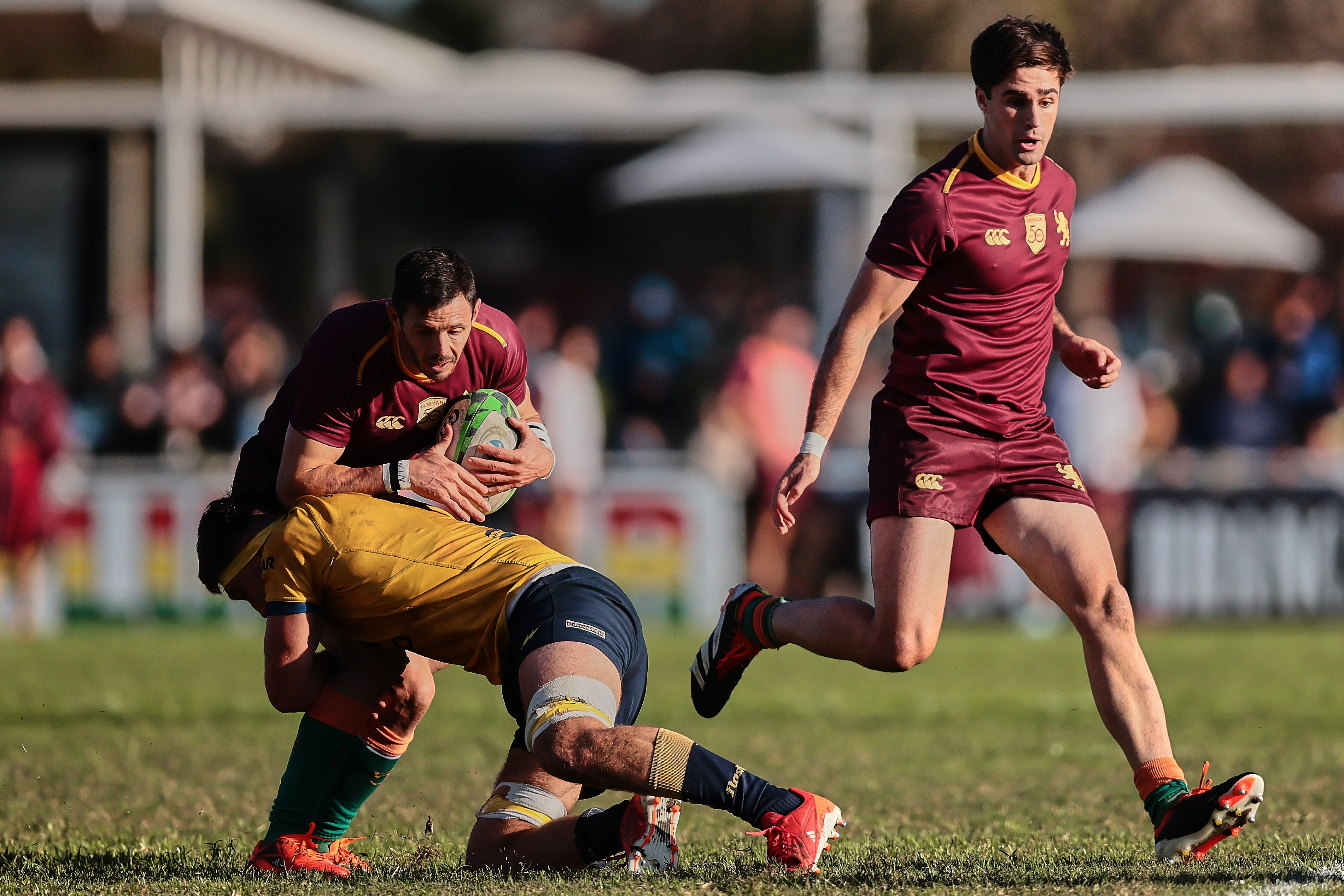 Newman derrota 21-17 a La Plata Rugby Club como visitante por la fecha del Top 12 La Plata, Argentina - 31 mayo, 2025: Jugadores del Club Newman celebran tras vencer 21-17 al equi...