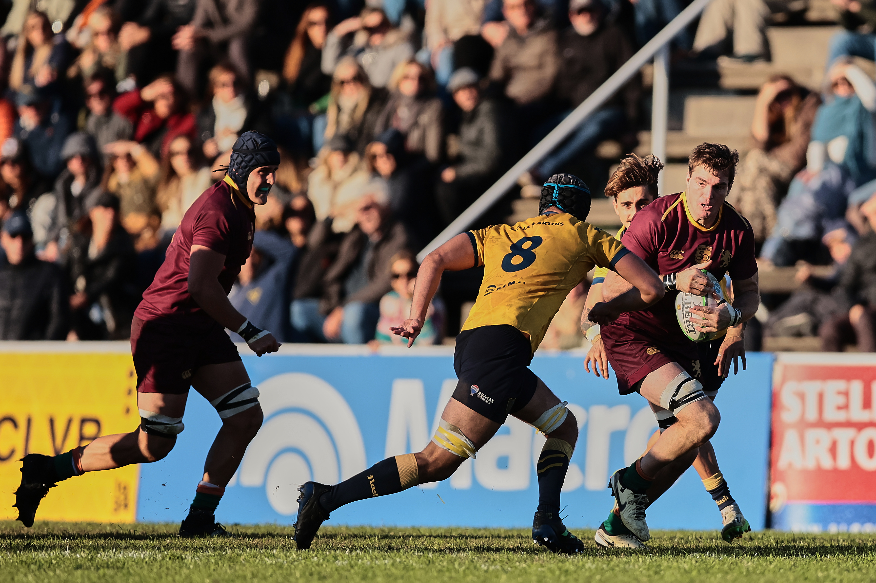 Newman derrota 21-17 a La Plata Rugby Club como visitante por la fecha del Top 12 La Plata, Argentina - 31 mayo, 2025: Jugadores del Club Newman celebran tras vencer 21-17 al equi...
