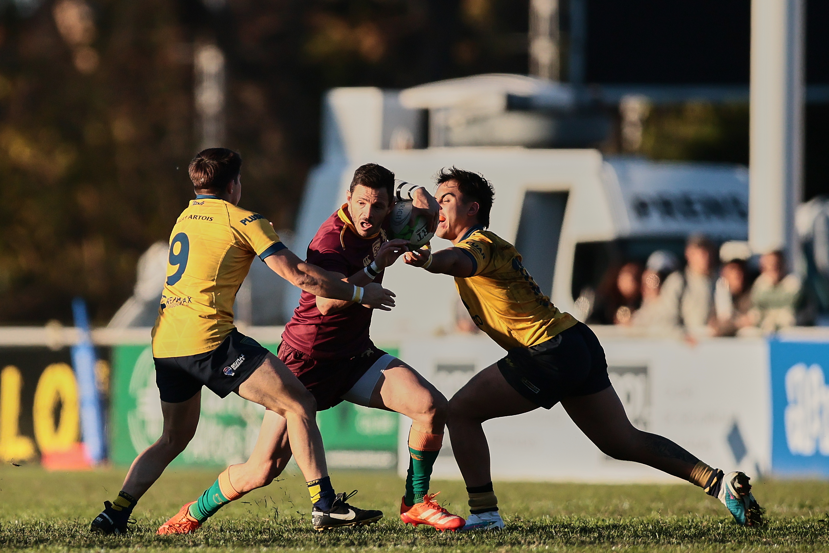 Newman derrota 21-17 a La Plata Rugby Club como visitante por la fecha del Top 12 La Plata, Argentina - 31 mayo, 2025: Jugadores del Club Newman celebran tras vencer 21-17 al equi...