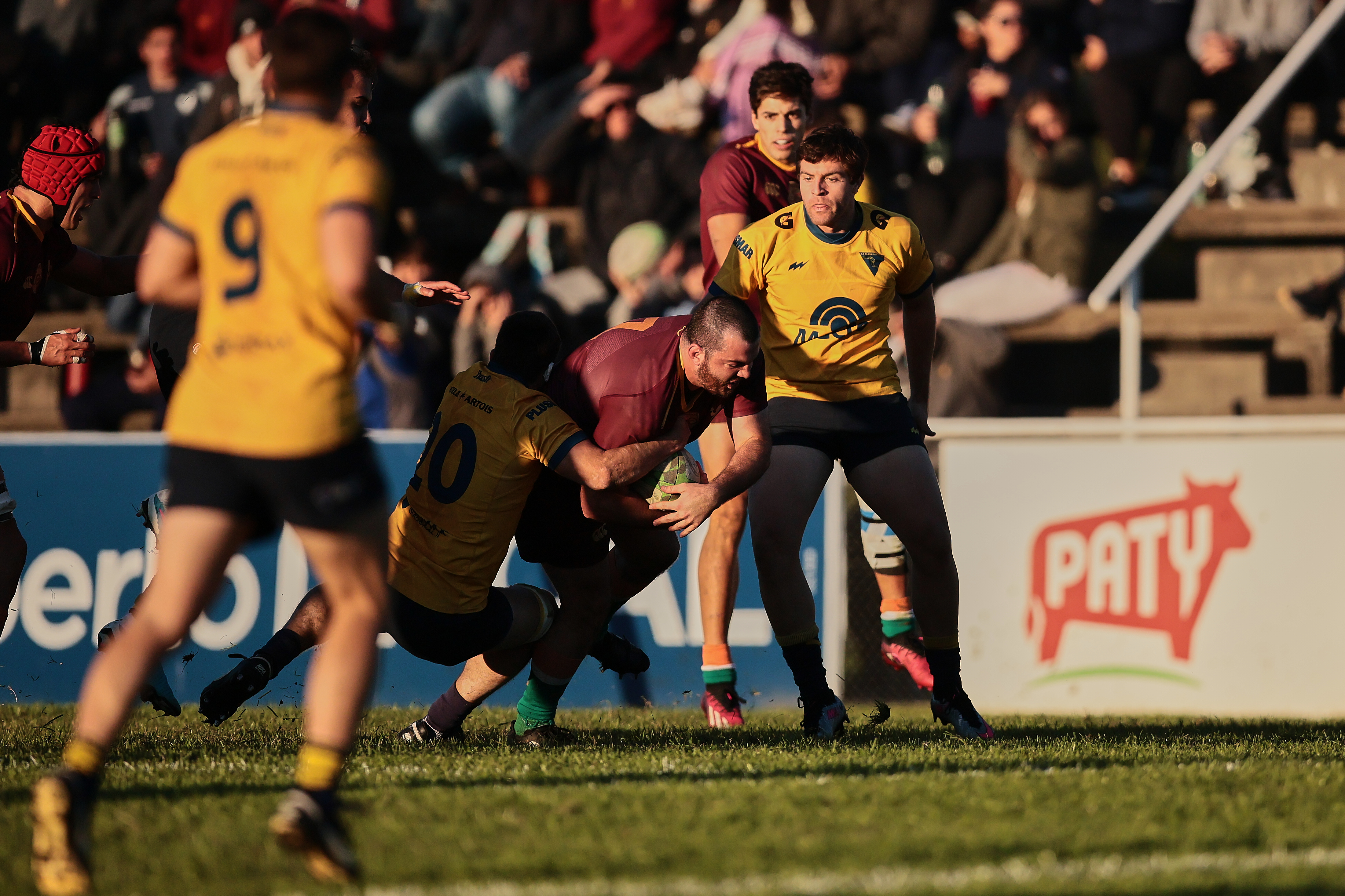 Newman derrota 21-17 a La Plata Rugby Club como visitante por la fecha del Top 12 La Plata, Argentina - 31 mayo, 2025: Jugadores del Club Newman celebran tras vencer 21-17 al equi...