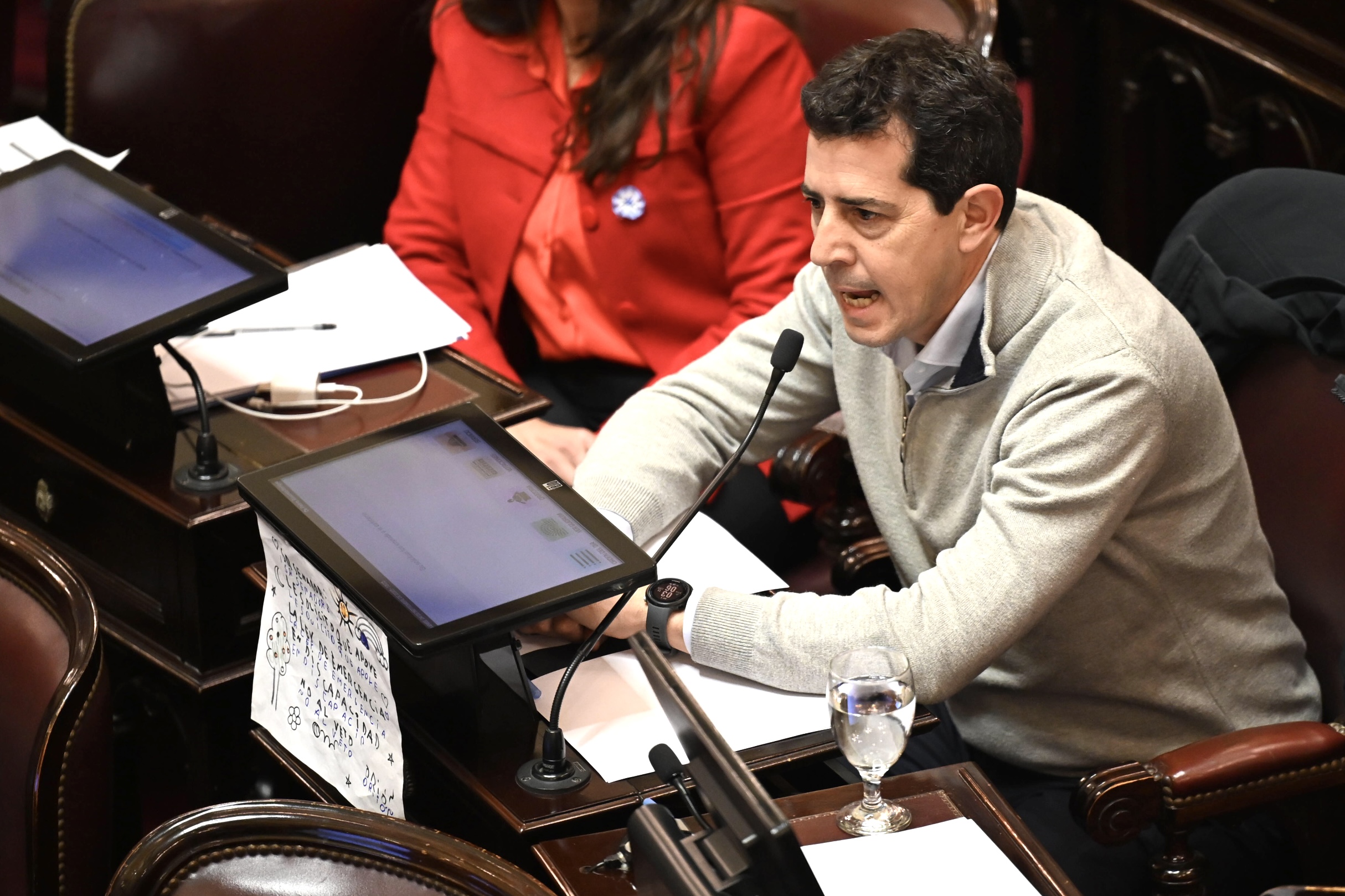 Buenos Aires, Argentina – 4 septiembre, 2025: El Senado argentino dejó sin efecto el veto del ...