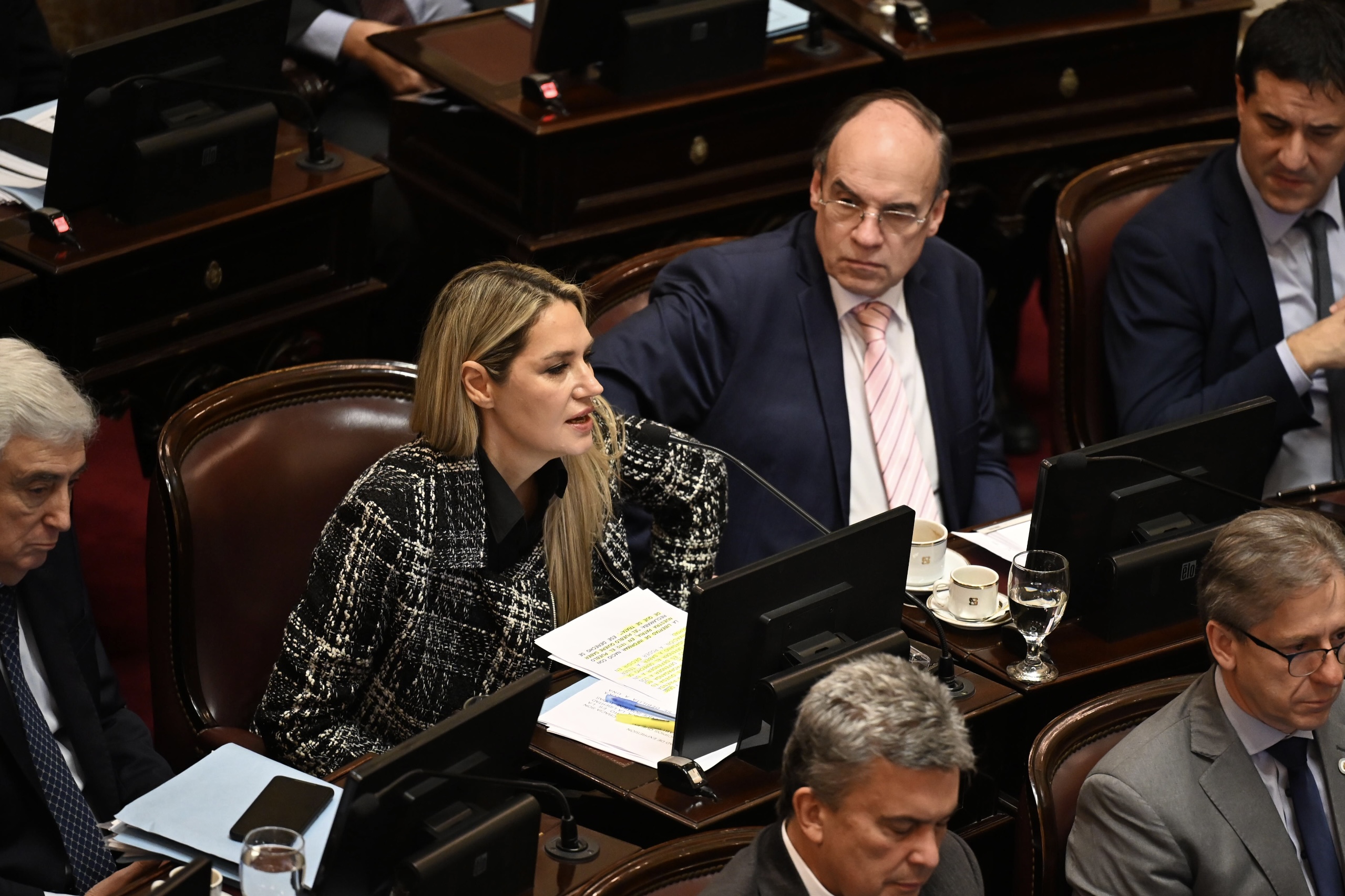 VIO_9642 Buenos Aires, Argentina – 4 septiembre, 2025: El Senado argentino dejó sin efecto el veto del ...