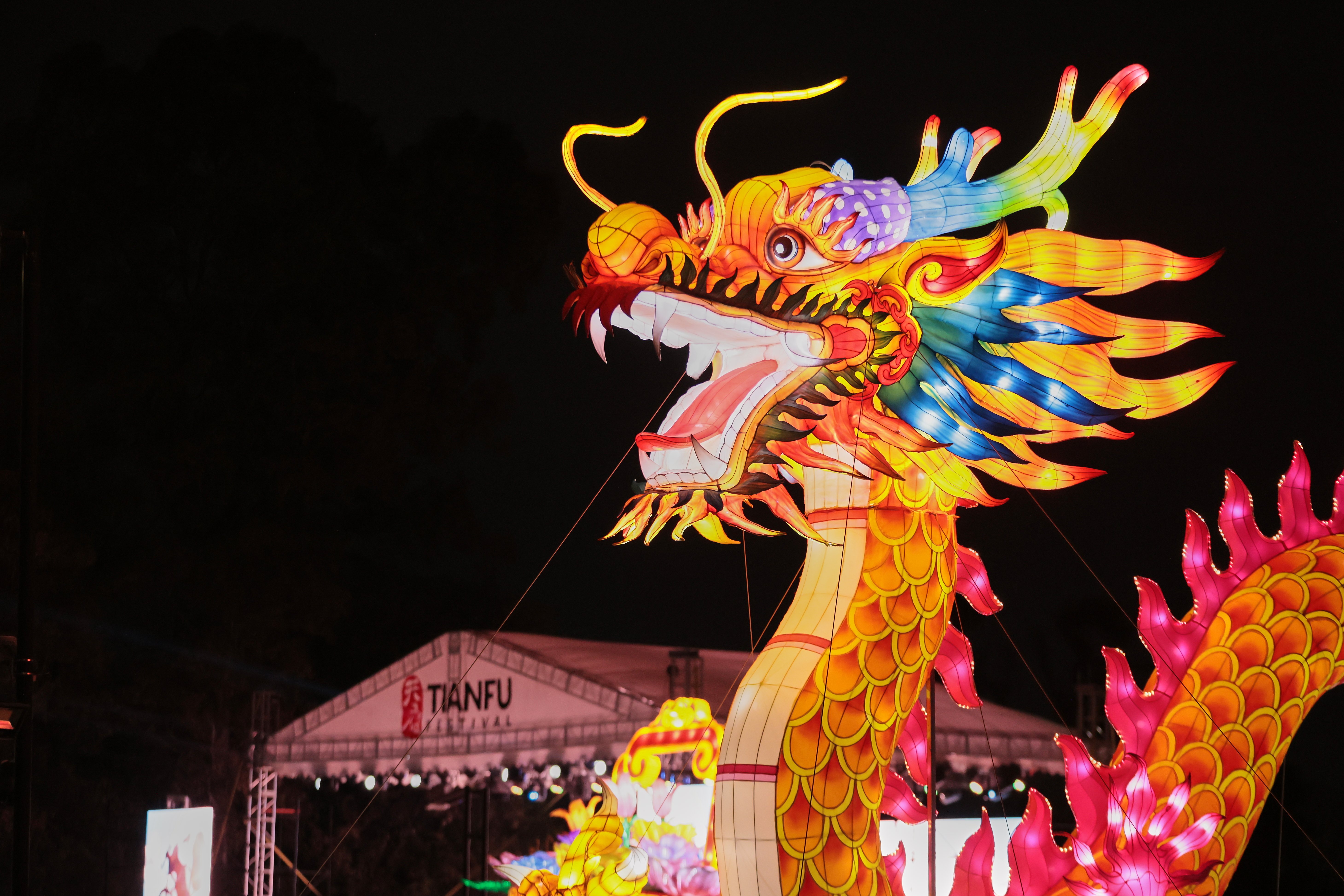 Tianfu Festival Buenos Aires- File Photo Tianfu Festival Buenos Aires- File Photo