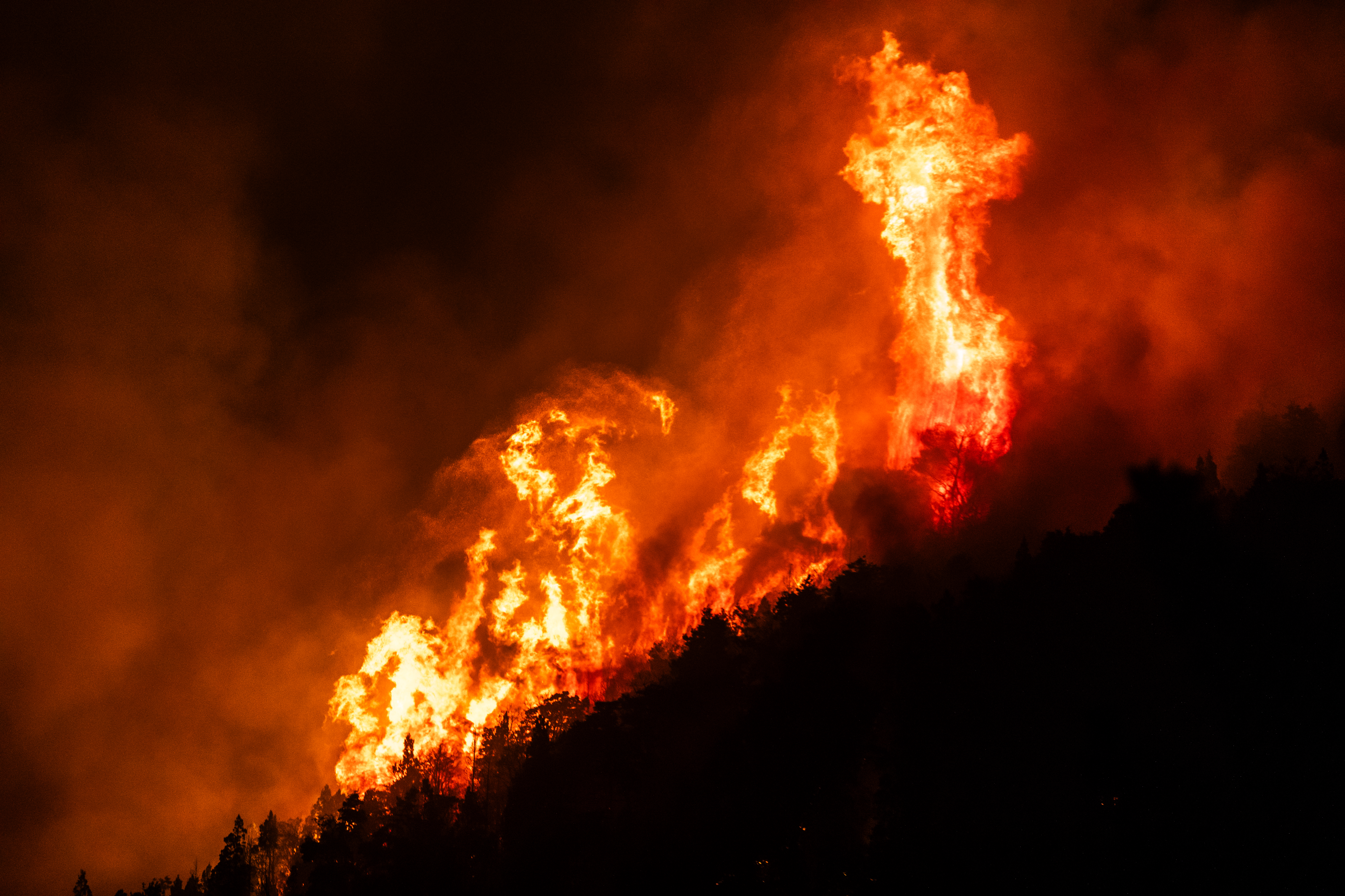 48A9659 incendios forestales este miércoles, en el Hoyo provincia de Chubut (Argentina). Los incendios f...