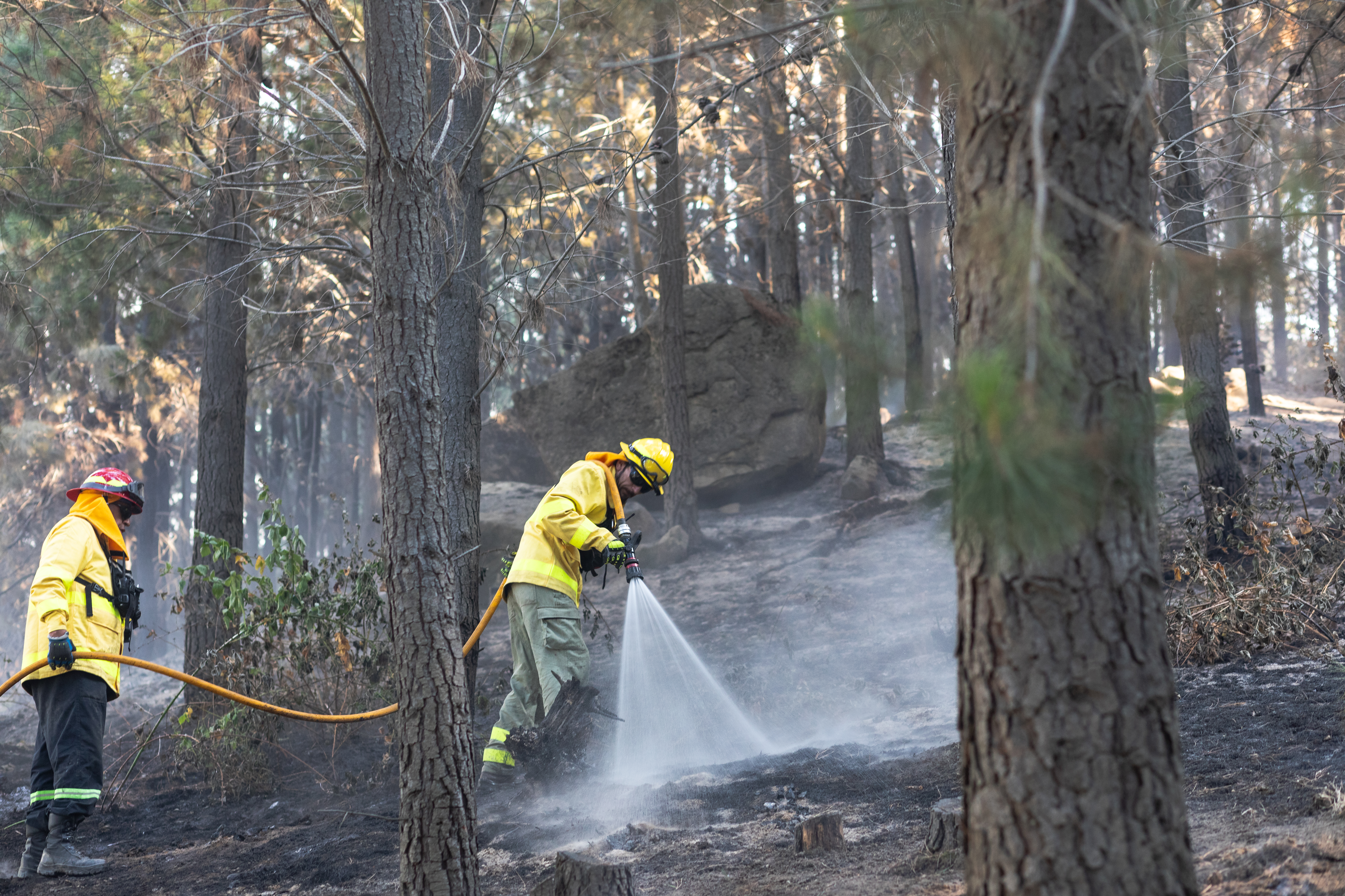 48A9508 incendios forestales este miércoles, en el Hoyo provincia de Chubut (Argentina). Los incendios f...