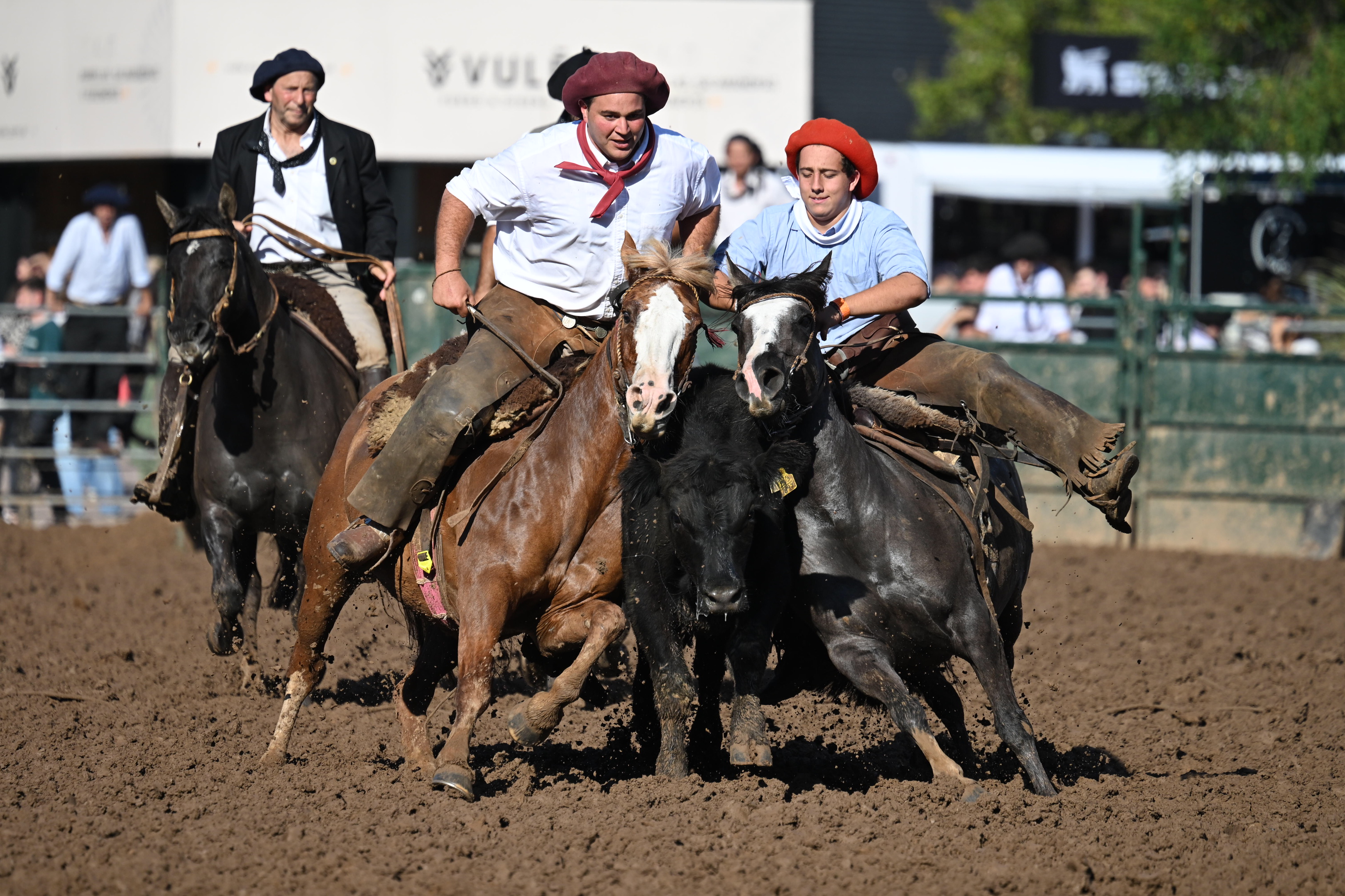 El tradicional centro de exposiciones de Palermo reunió a las mejores razas equinas del país en un evento que destaca la cultura y la industria hípica ARGENTINA-La Rural de Buenos Aires celebró una nueva edición de «Nuestros Caballos» El tradicional centro de exposiciones de Palermo reunió a las mejores razas equinas del país en un evento que destaca la cultura y la industria hípica Buenos Aires, Argentina – 29 de marzo, 2026: Se llevó a cabo la feria "Nuestros Caballos" en La Rural. La muestra incluyó exhibiciones de destreza criolla, saltos y lo mejor de la genética equina argentina, convocando a expertos y familias en una jornada dedicada a la tradición del campo en la ciudad. (Foto: Violeta Bullrich/UNAR AGENCY)